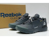Reebok Gore-Tex Termo Grafite зимние